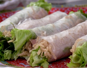 DH-2-Spring-Roll